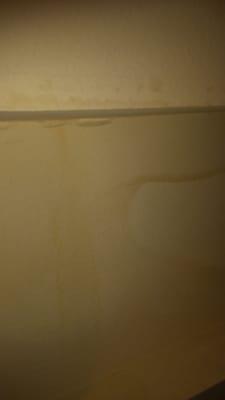 Luxury apartments Enlarge for closer look at urine stained wall. Keep checking. Next week I'll post the feces covered grass!
