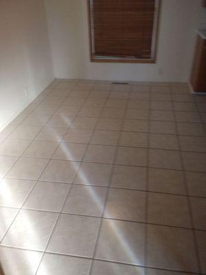 Snyder's House Cleaning/ Gutter Cleaning