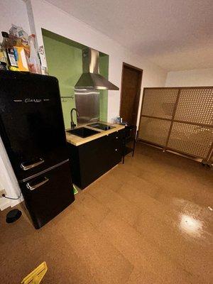 Lady Red Cleaning Service