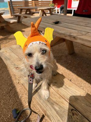 Avalanche Texas Size Snowballs