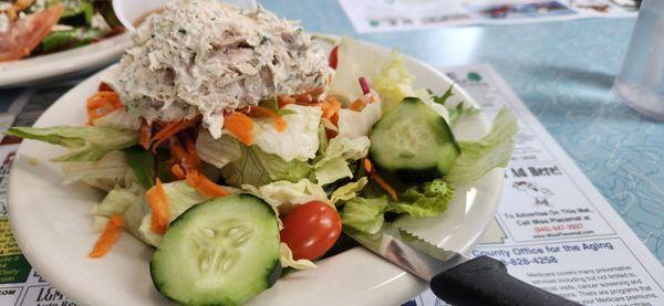 Schodack Diner