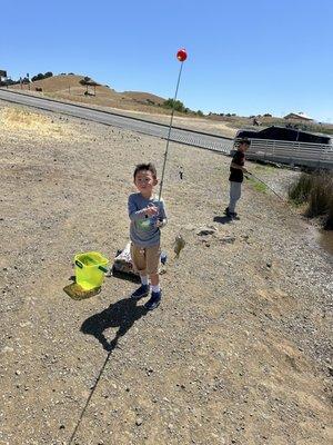 Coyote Bait and Tackle