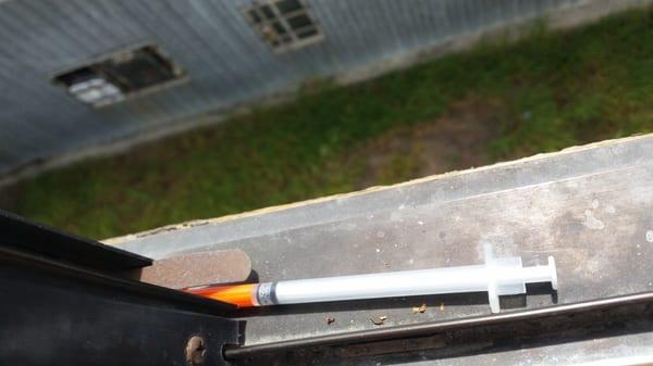 They leave free medical supplies for you... right outside your bathroom window ..... :-/