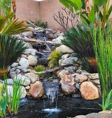 Waterfall Koi Pond Pond Design Maintain