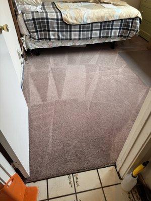 That Guy! Carpet, Floor Care, & Flood Restoration