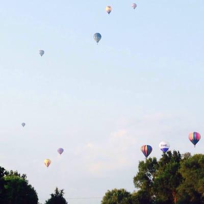 New York State Festival of Balloons