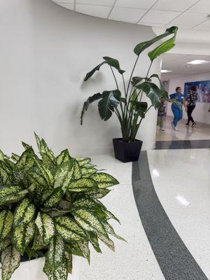 Ambulatory Care Center West | Jackson Memorial