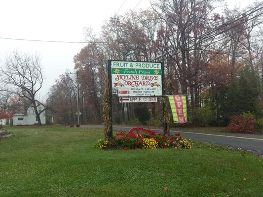 Skyline Drive Orchard