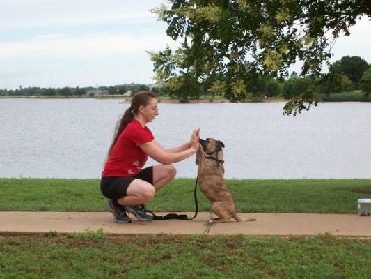 Smith & Wilson Canine Care