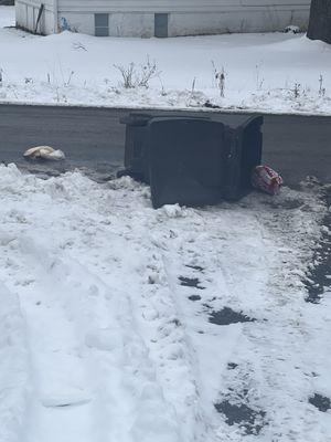 CASELLA WASTE SERVICES