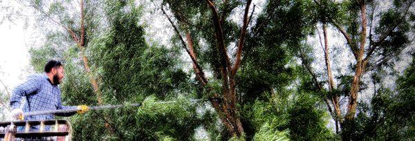 His And Hers Landscape