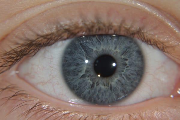 Joyful Living Services