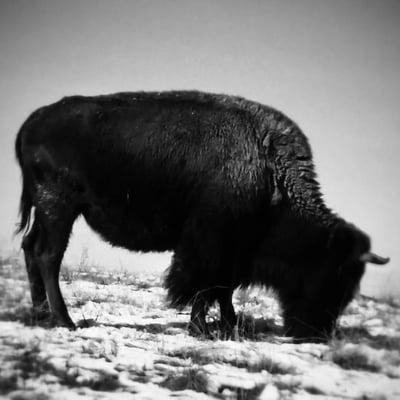 Rocky Mountain Aerial Video and Photography