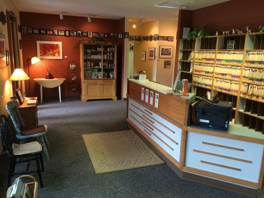 A Street Animal Clinic