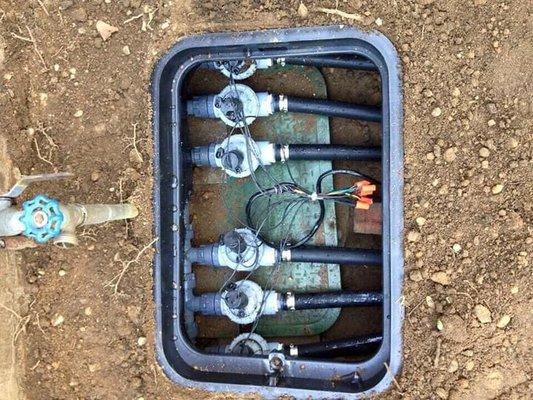 Sprinklers by Robert