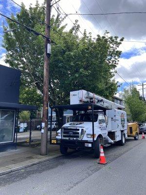 Silent Rock Tree Service