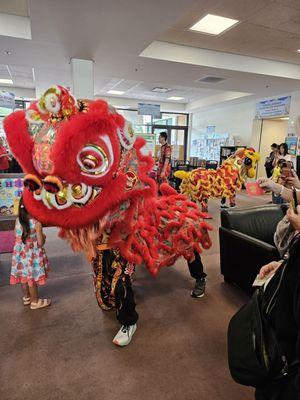 Celebrating the Year of the Dragon 2024