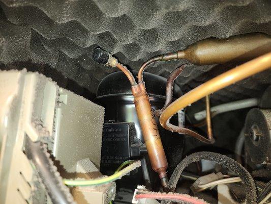 VLD Service Appliance Repair