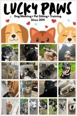 Lucky Paws
