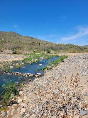 High Desert Trailhead