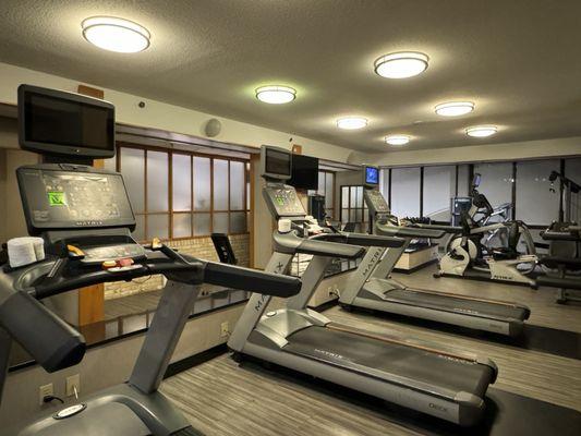 2024-02-20. Drury Plaza Hotel San Antonio Airport. Amenities. Fitness room. Multiples of each machine.