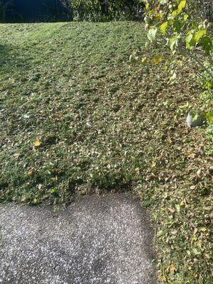 RW Snow And Lawn Removal And Cleanouts