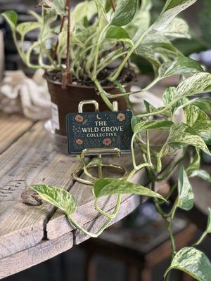 We have gift cards available!!