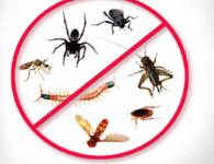 Southern Pro Termite and Pest Control