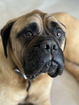 This is my resting happy face