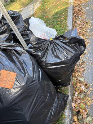 CASELLA WASTE SERVICES