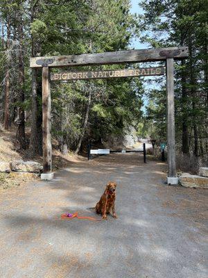Flathead Forever's cuddly and loving mascot