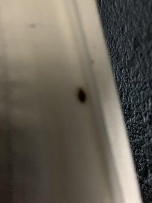 HomeTowne Studios Bordentown - McGuire AFB