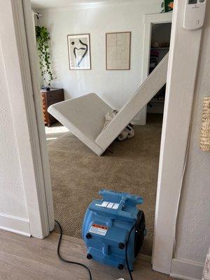 Angel Carpet Cleaning