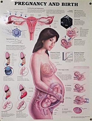 Dr. Paul Memorial Med Center health poster