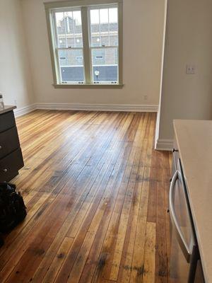 Gateway City Clean Team