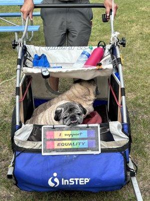 Circle of Friends Humane Society