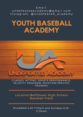 Youth Baseball Academy Info