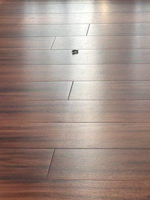 Hair on the floor right next to the counter