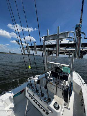 Tampa Bay Charters By Capt Cody