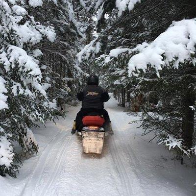 Sledding - adult style...