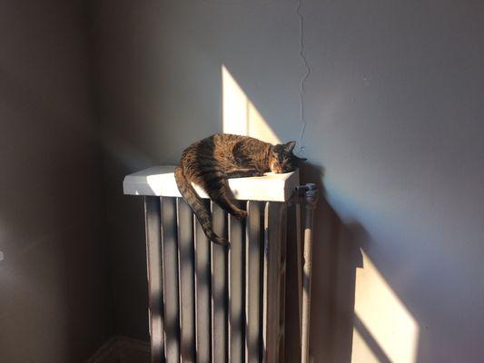 Metropolitan Rental Corporation