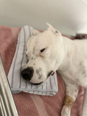 This is unacceptable!!!! They could have closed his eyes!