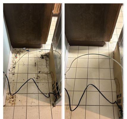 Cleaner Up