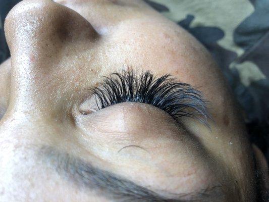 Lash’d Out by Lexi Lé