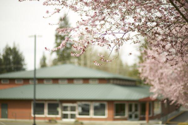Calvary Chapel Lake Stevens