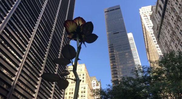 Rose Wealth Management