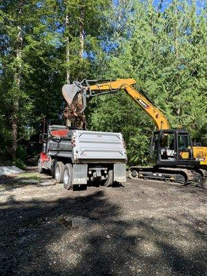 Loading and hauling off stumps and brush