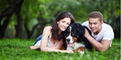 Purr-Furred Pet Care