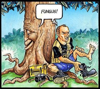 Peninsula Environmental Group