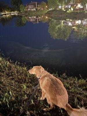 Bridgeport Clubhouse